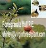 Pomegranate Hull P.E. (Shirley At Virginforestplant Dot Com)
